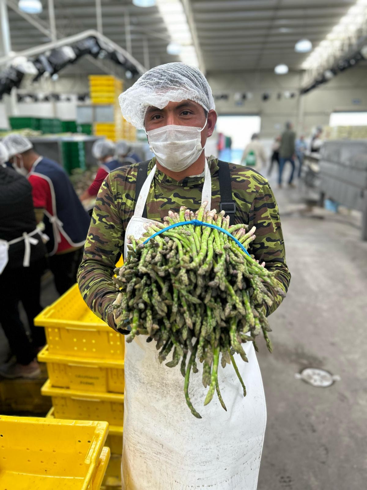 Inaugura Gobierno de Sonora VI Summit Internacional de Espárrago en Caborca